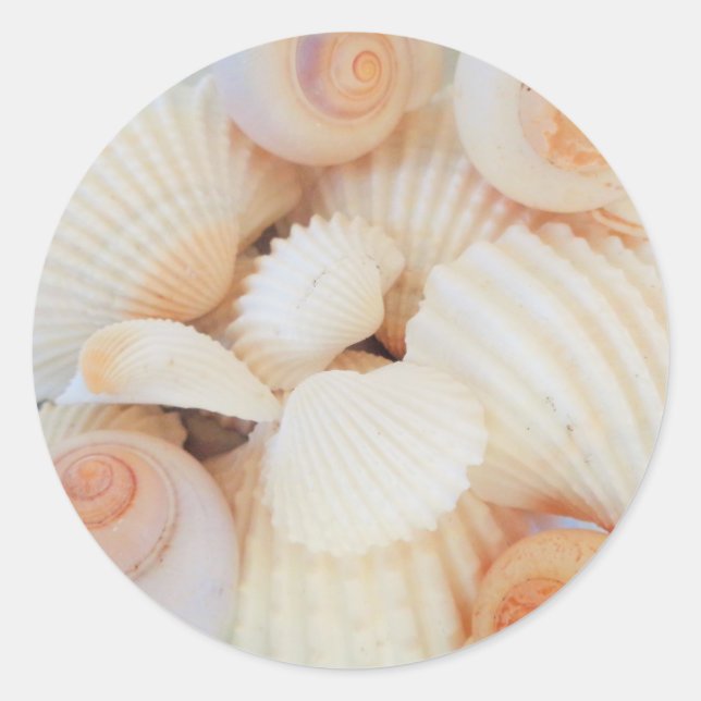 Exotic White Peach Sea Shells, Summer Beach Classic Round Sticker (Front)