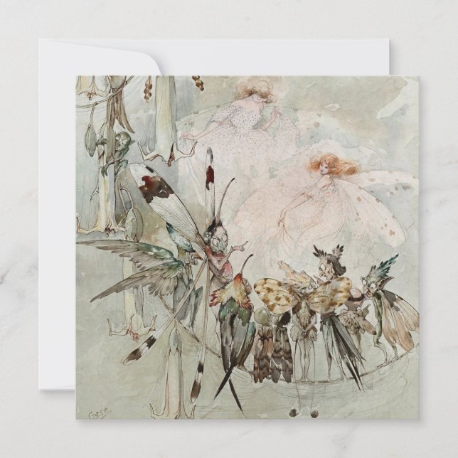 “Exotics at Play” by A Duncan Carse Holiday Card (Front)