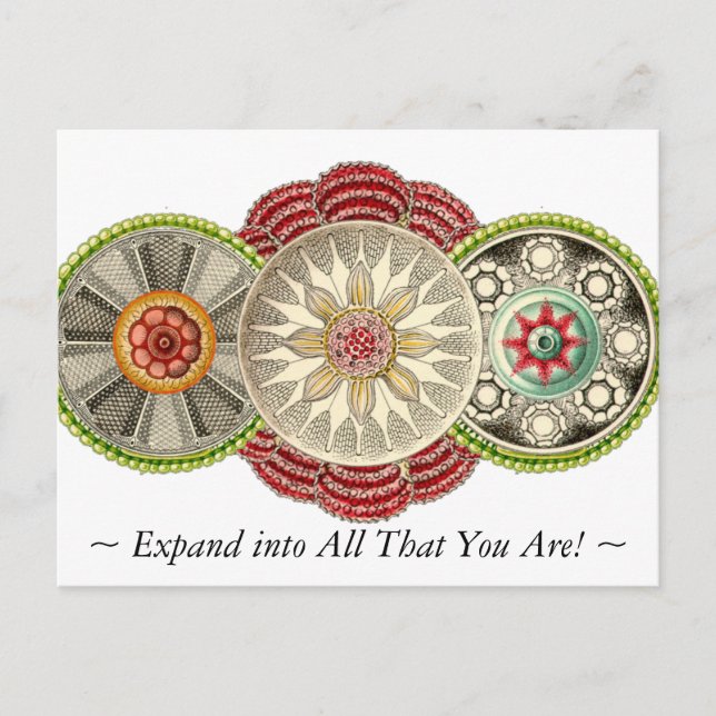 Expand into All That You Are Postcard! Postcard (Front)