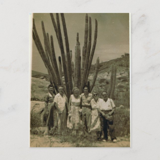 Expats working for Esso in Aruba Postcard (Front)