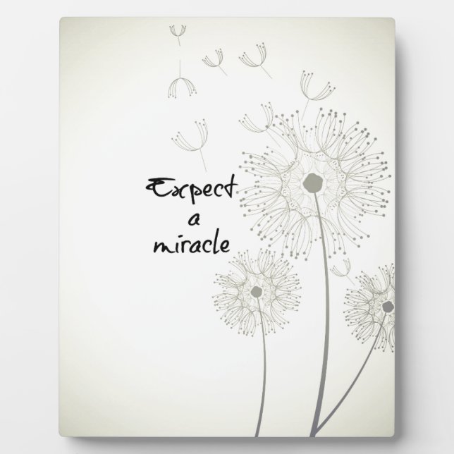 Expect a Miracle Inspirational Plaque (Front)
