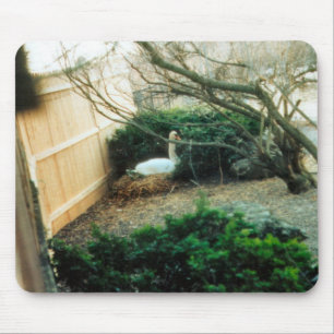 Expectant Mother Mouse Mat