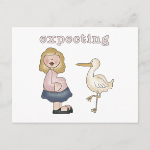 Expecting Baby - Stork Tshirts and Gifts Postcard