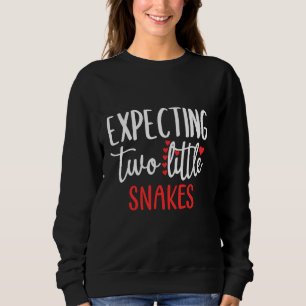 Expecting Two Little Snakes Funny Pregnancy Twins Sweatshirt
