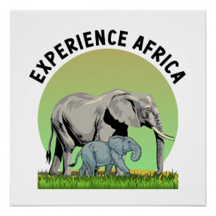Experience Africa Poster
