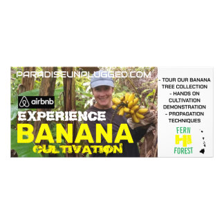 EXPERIENCE BANANA CULTIVATION RACK CARD