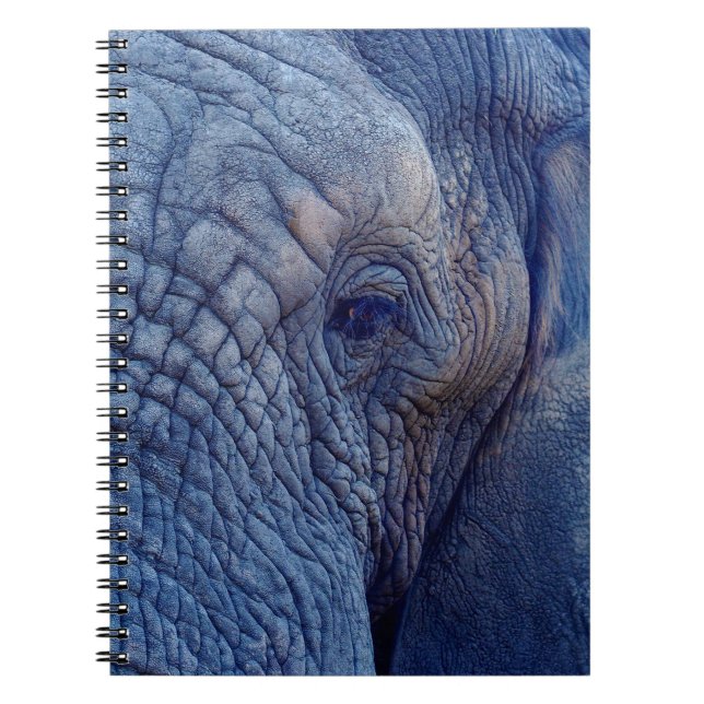 EXPERIENCE WALK WITH THE ELEPHANTS HOW ABOUT HUGGI NOTEBOOK (Front)