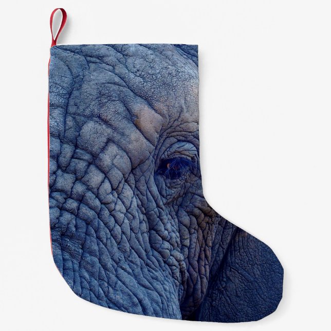 EXPERIENCE WALK WITH THE ELEPHANTS HOW ABOUT HUGGI SMALL CHRISTMAS STOCKING (Front)