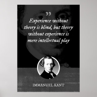 Experience without theory is blind poster