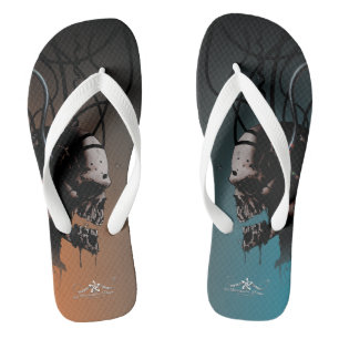 EXPERIMENT FLIP FLOPS