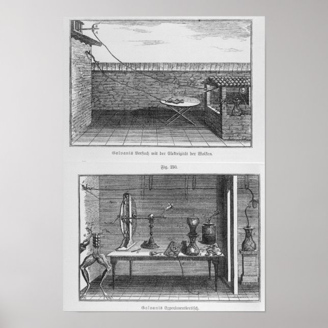 Experiment on frogs by Louis Galvani Poster (Front)