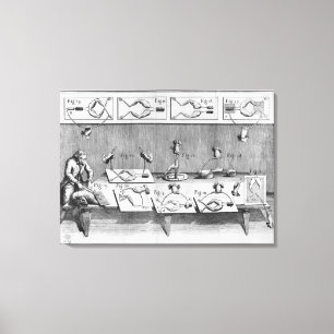 Experiment on frogs canvas print