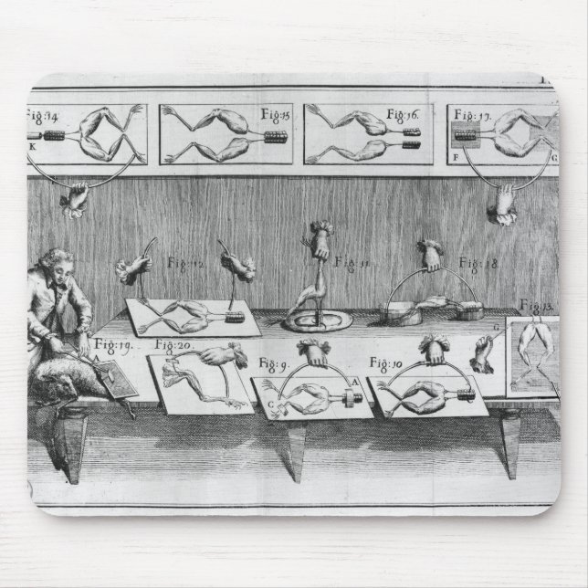 Experiment on frogs mouse mat (Front)