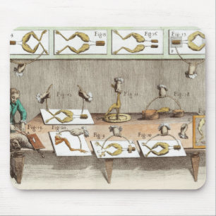 Experiment on frogs mouse mat