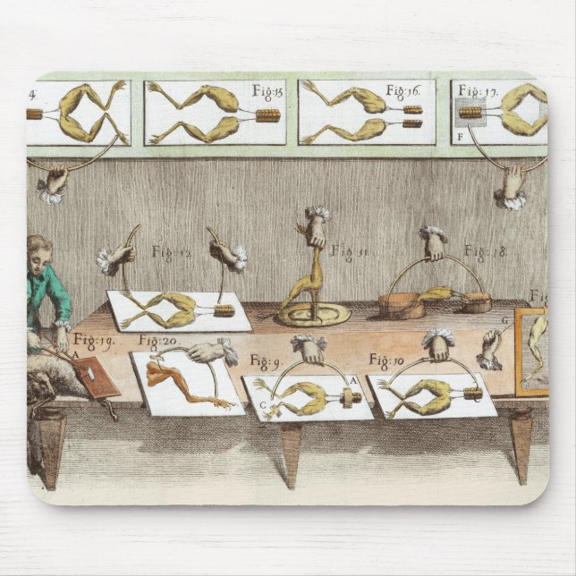 Experiment on frogs mouse mat (Front)