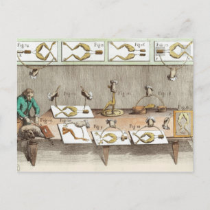 Experiment on frogs postcard