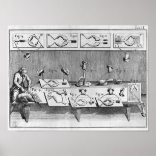 Experiment on frogs poster