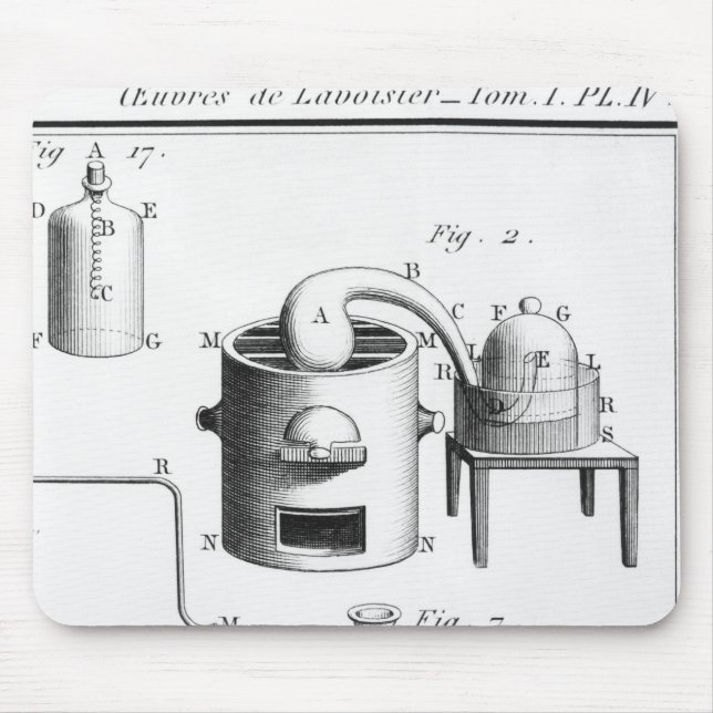Experiment on the decomposition of water mouse mat (Front)