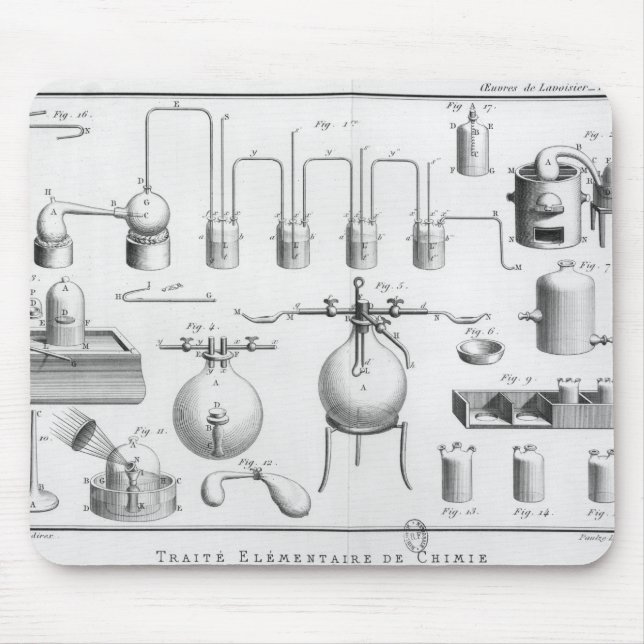Experiment on the decomposition of water mouse mat (Front)