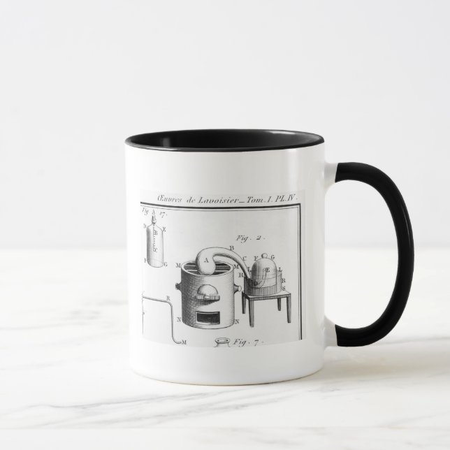 Experiment on the decomposition of water mug (Right)