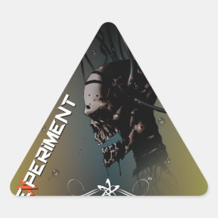 EXPERIMENT TRIANGLE STICKER