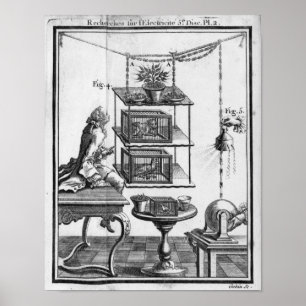 Experimenting with electricity poster