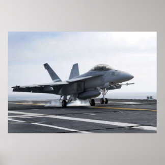 EXPERT LANDING POSTER