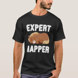 Expert Napper Cute Sleeping Horse Funny Animal Art T-Shirt