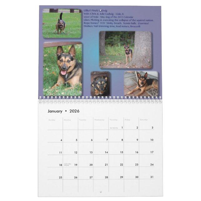 EXPIRED: 2014 AIDog Calendar (Jan 2026)