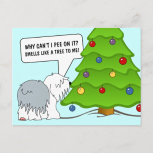 Explain the meaning of Christmas to your dog now! Holiday Postcard