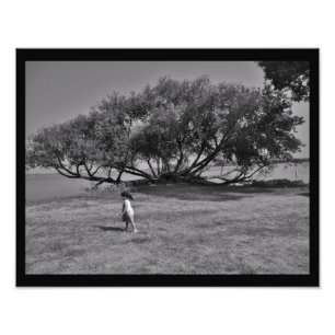 Explorations Photo Print