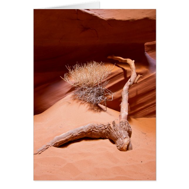 Explore Arizona (Front)