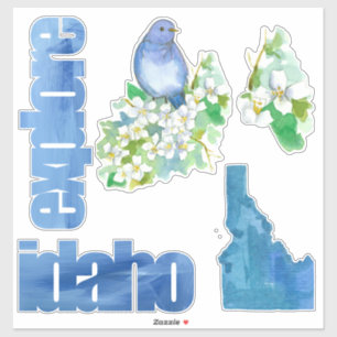 Explore Idaho Bluebird Syringa Flower