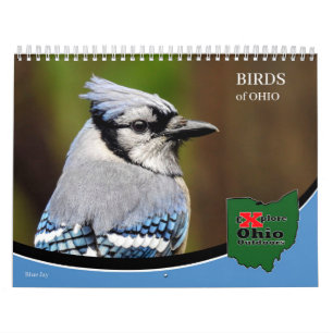 Explore Ohio Outdoors Birds of Ohio Calendar