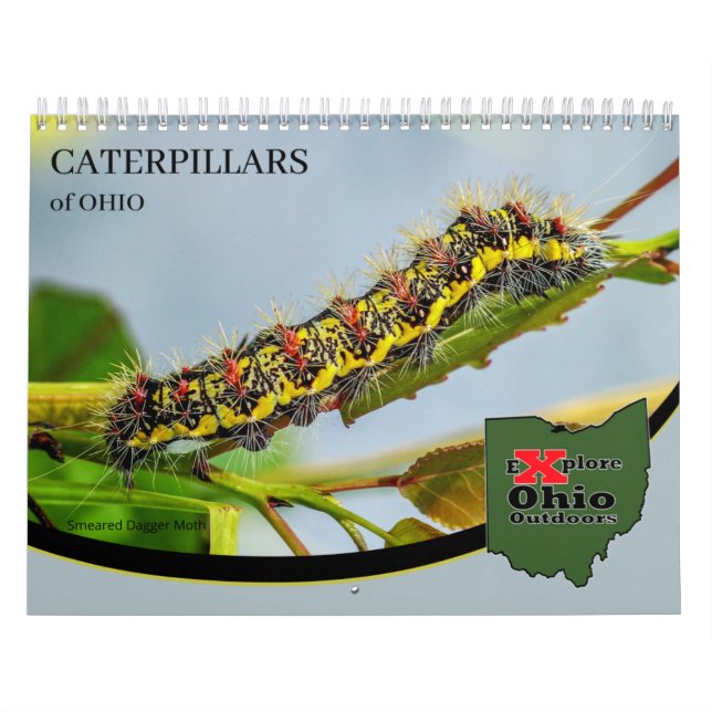 Explore Ohio Outdoors Caterpillars of Ohio Calendar (Cover)