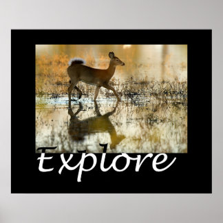 Explore Poster