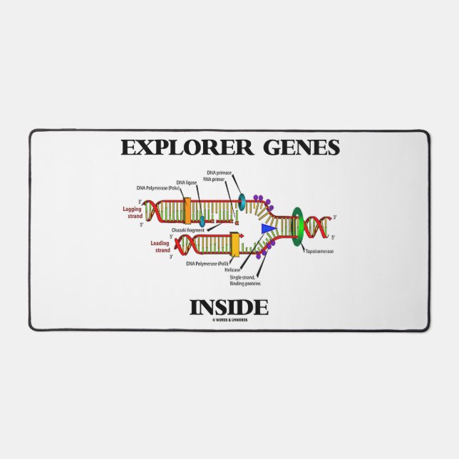 Explorer Genes Inside DNA Replication Desk Mat (Front)