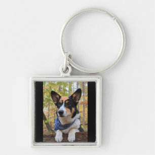 Explorer Key Ring