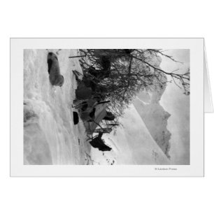 Explorer's Tent and Belongings at Camp Site