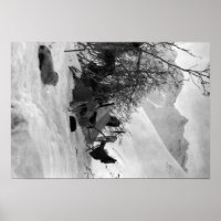 Explorer's Tent and Belongings at Camp Site