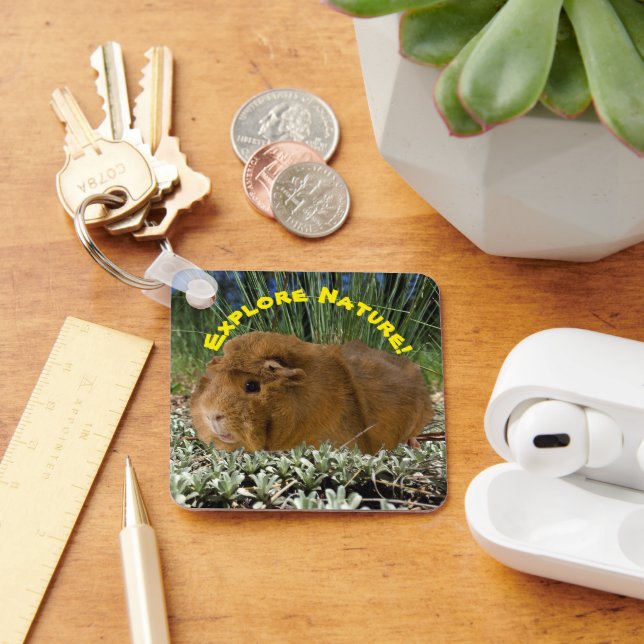 Exploring Nature With A Cute Guinea Pig Photograph Key Ring (Desk)