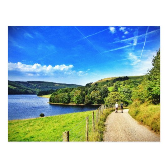 Exploring nature with you! postcard