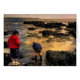 Exploring the Tidal Pools