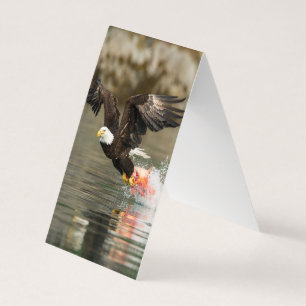 Explosive Bald Eagle