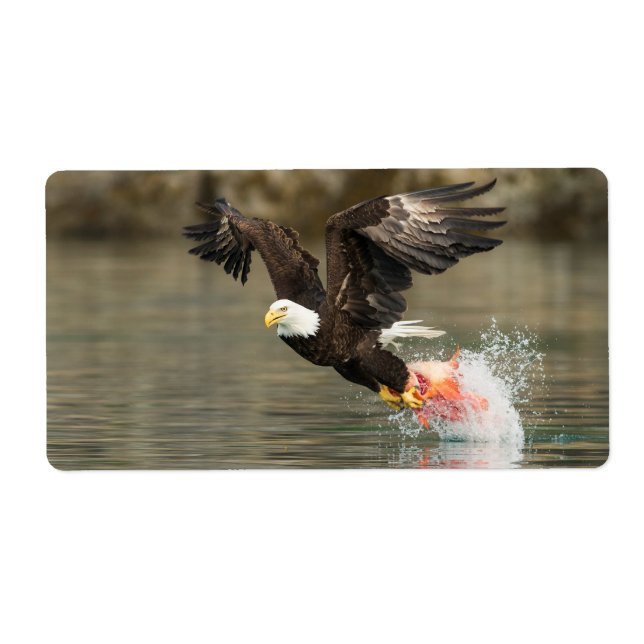 Explosive Bald Eagle (Front)