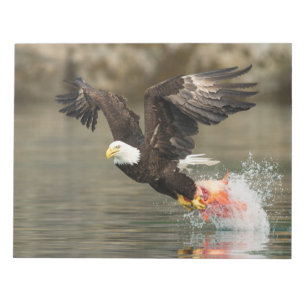 Explosive Bald Eagle Notepad