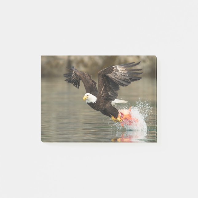 Explosive Bald Eagle Post-it Notes (Front)