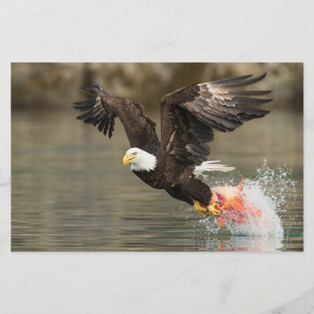 Explosive Bald Eagle Stationery (Front)