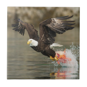 Explosive Bald Eagle Tile