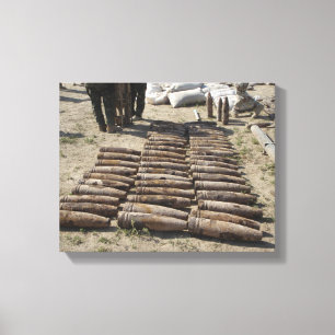 Explosive devices are identified and inventorie canvas print